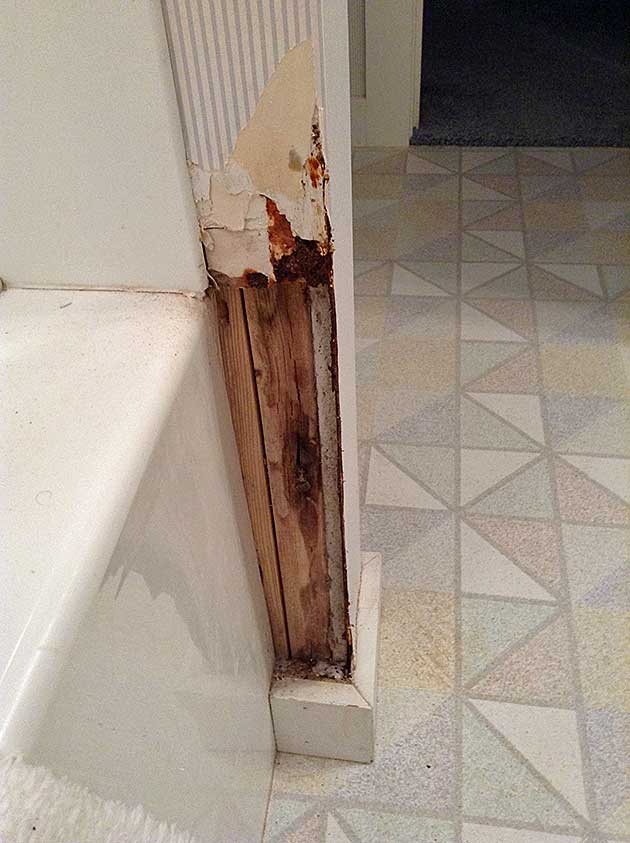 Master Bathroom tub wall damage